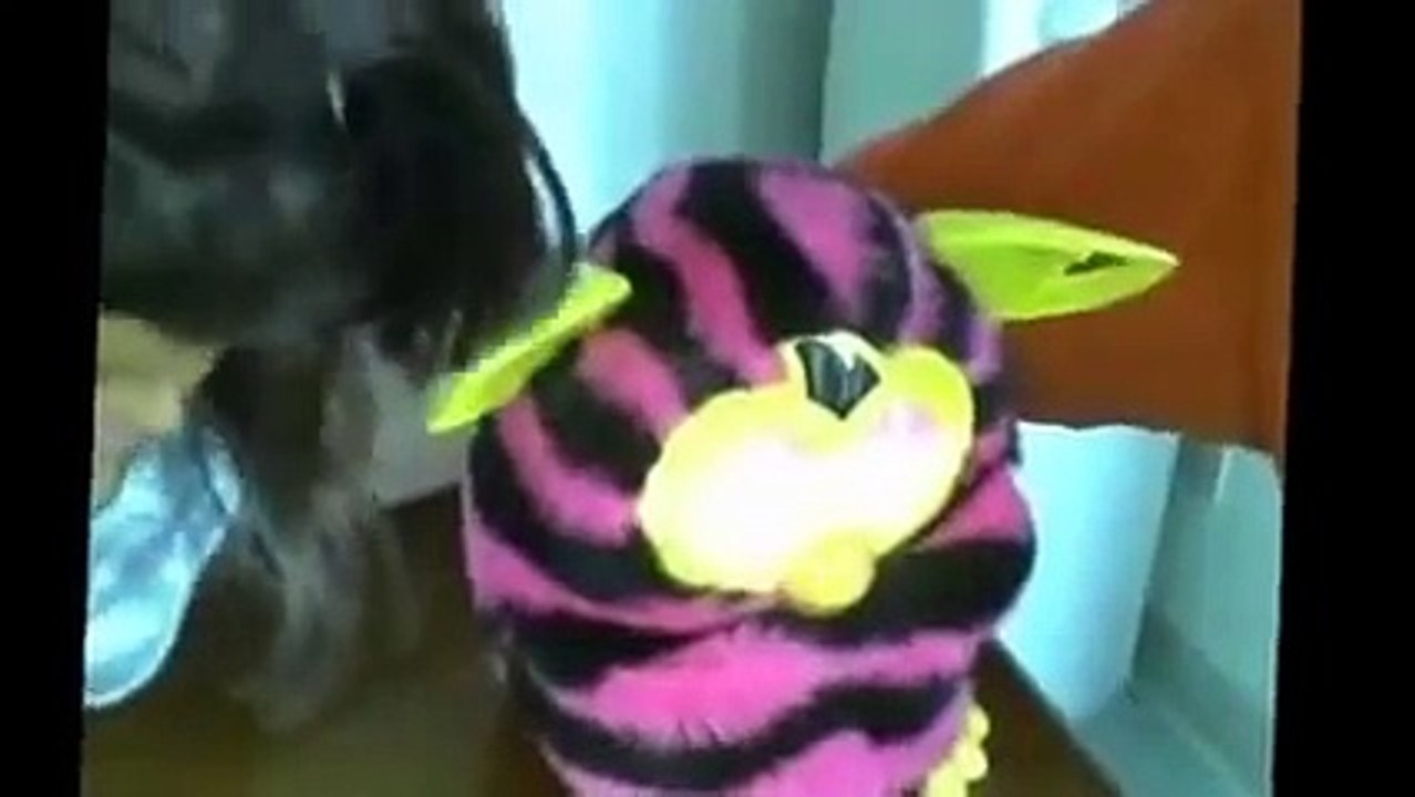 furby  boom