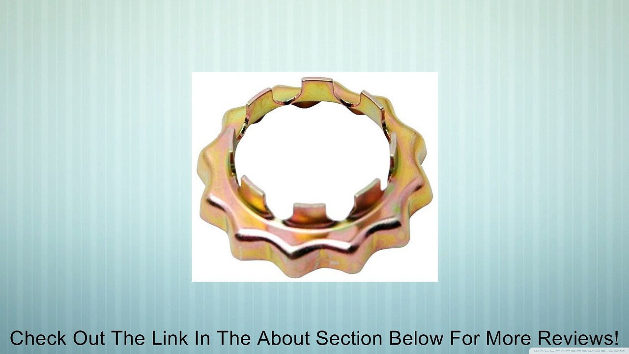 Raybestos 816-4264 Professional Grade Spindle Nut Review