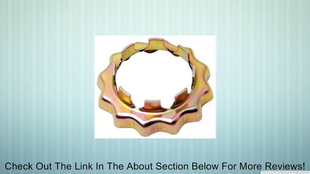 Raybestos 816-4264 Professional Grade Spindle Nut Review