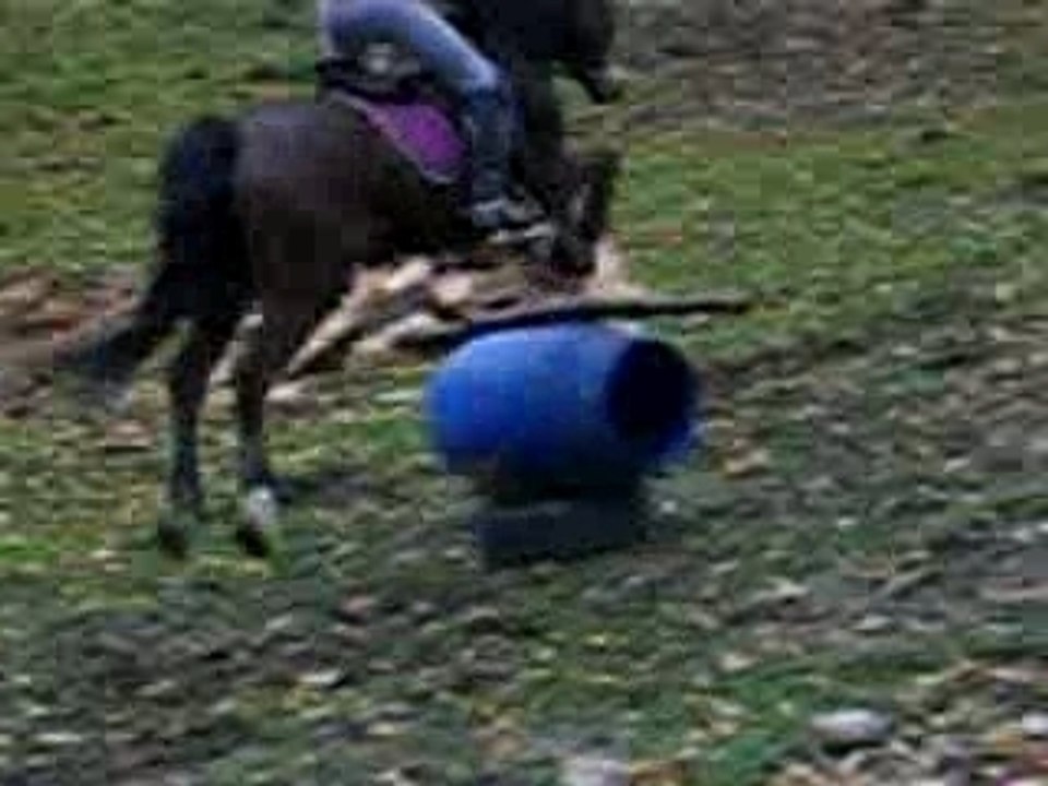 Photo 011
