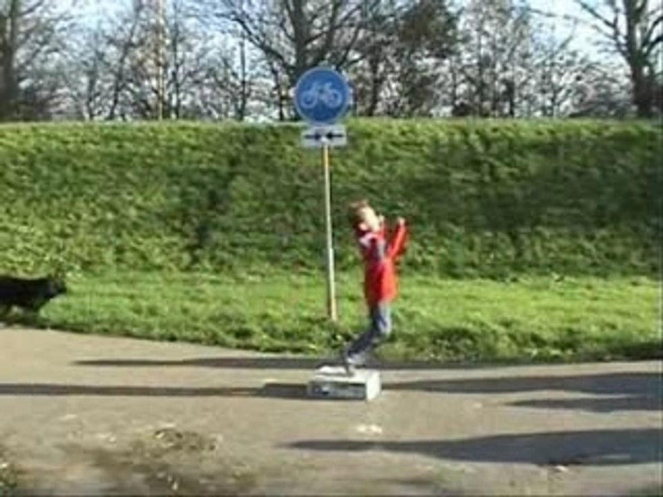 Computer Vandalen Final