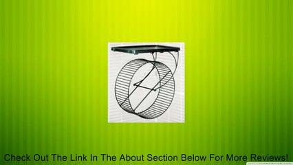 Run - around Wheel - giant 11 Review