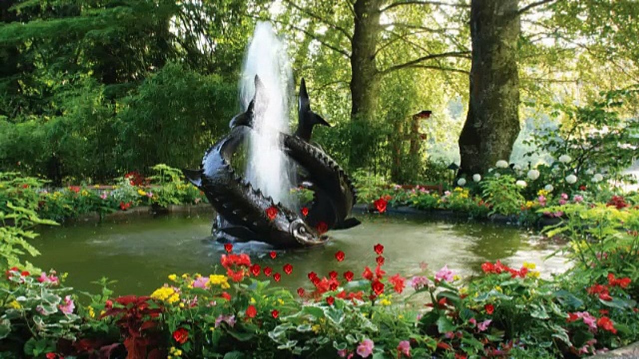 Aa Baith Mere Paas Tujhe Dekhta Rahoon