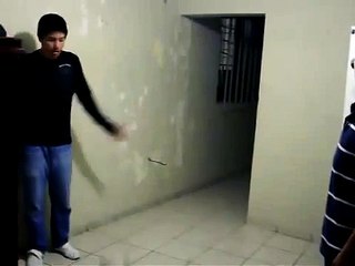 Real ELF spotted in Mexico
