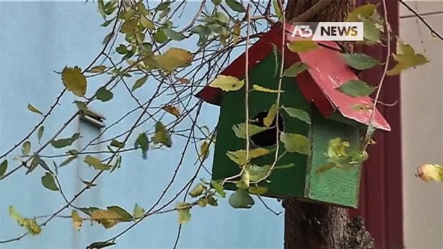 NOMADI OCCUPANO ALLOGGIO ATER, ERA GIA' STATO ASSEGNATO