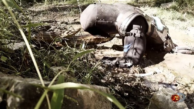 Avalé vivant par un anaconda pour une émission de télé