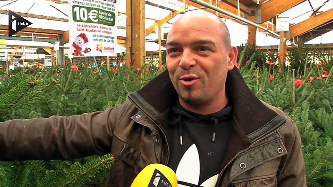 Comment choisir son sapin ?