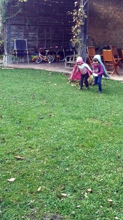 Les feuilles toussaint 2014