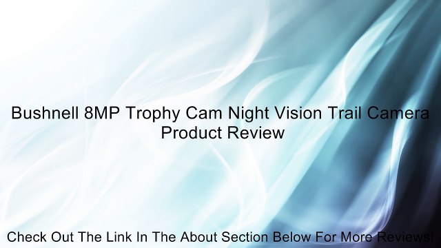 Bushnell 8MP Trophy Cam Night Vision Trail Camera Review