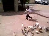 طفل سعودي يلحقه الدجاج وهو يبكي (مقطع مضحك )