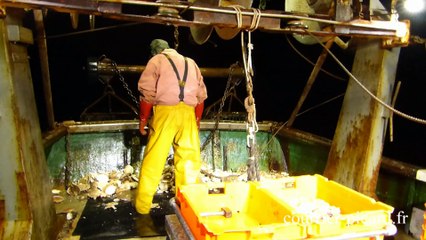 Le Tréport : un jour à la pêche à la coquille