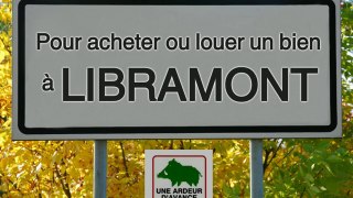 Vous cherchez un bien à vendre ou à louer à 6800 Libramont-Chevigny , comme une maison, villa,ferme,fermette,appartement ou terrain en ville ou à la champagne. Vous avez votre agence à Libramont dans les Ardennes Belges et de la province du Luxembourg