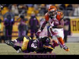 Pittsburgh Steelers vs Cincinnati Bengals Live Stream