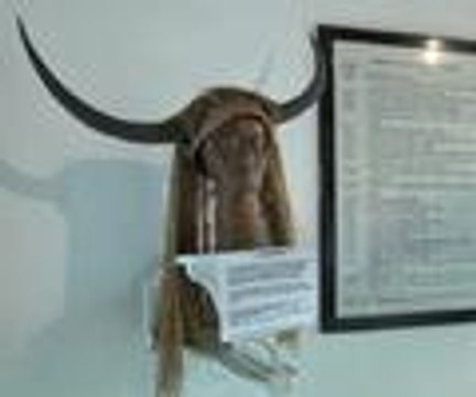 Gambiya'nın doğal timsah parkı