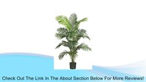 Nearly Natural 5260 Paradise Artificial Palm Tree, 5.5-Feet, Green Review