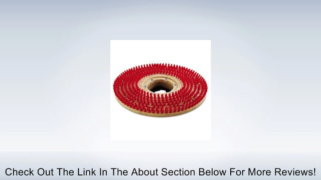 Boardwalk Pad Holder W/Riser Plas Review