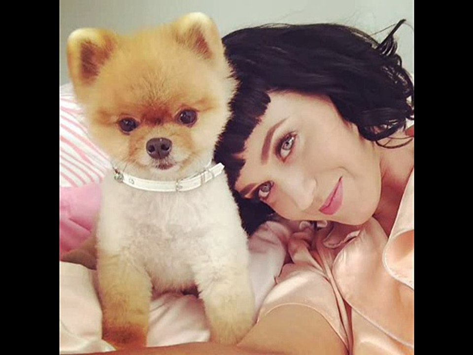 Katy Perry - Firework Karaoke