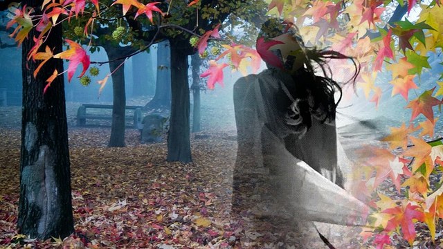 Vazgeçtim Senden ♪♪♪ Ceyda Görk Şiiri (Yorum : Sacit Onan )