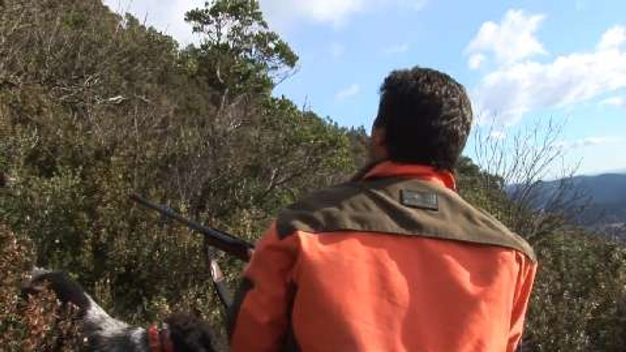 Chasse du sanglier à Ganges