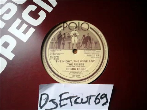 LIQUID GOLD -THE NIGHT THE WINE AND THE ROSES(RIP ETCUT)POLO REC 80 (DISCOTIN)