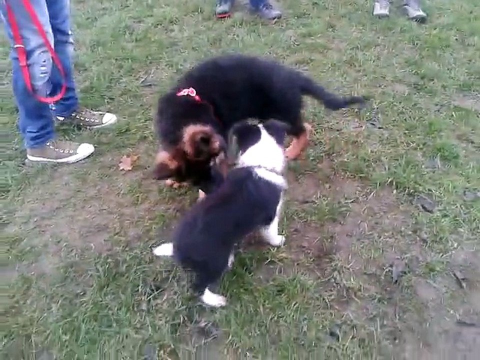 Zabawa ze znajomymi z przedszkola :)