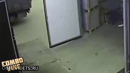 Transpaletten uçan adam! Yere fena çakıldı