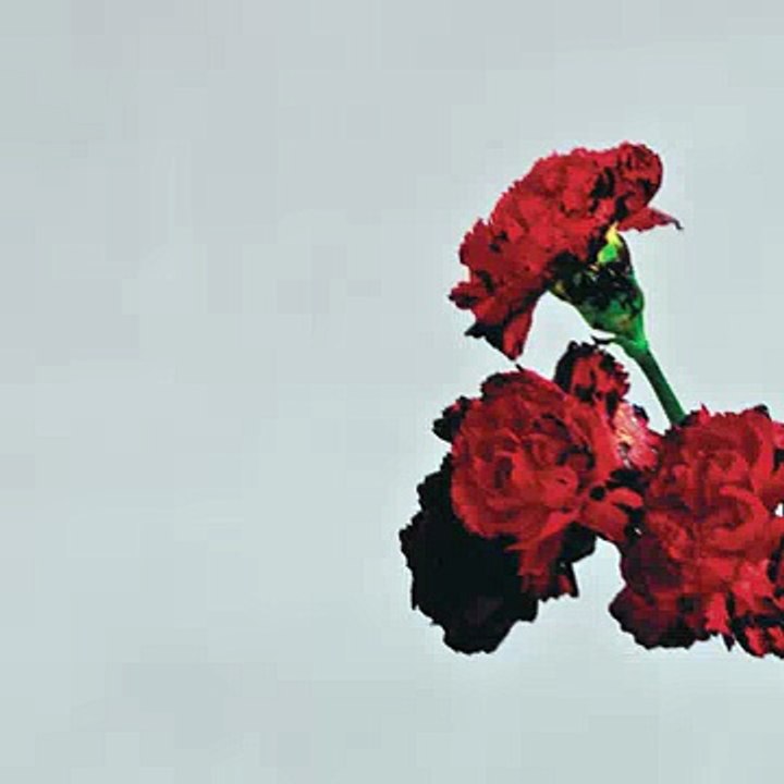 John Legend - All of Me ♫ Telecharger MP3 ♫