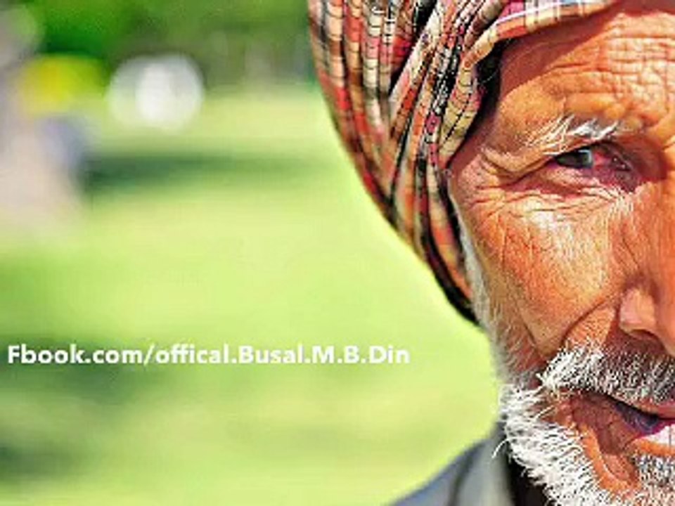 Busal or Bosal