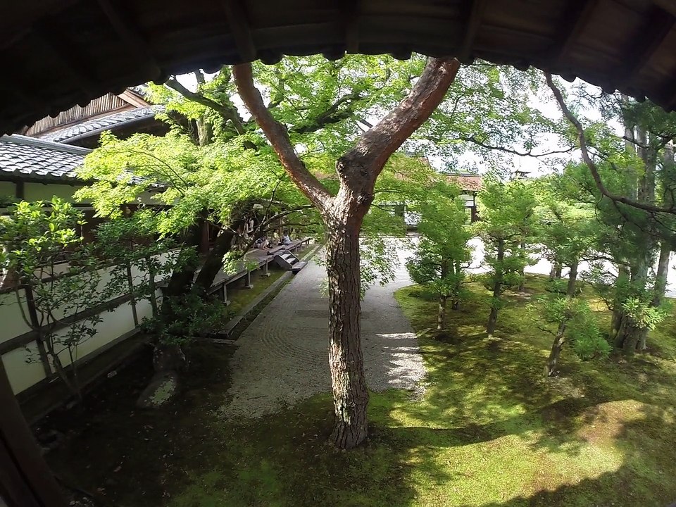 NINNA-JI
