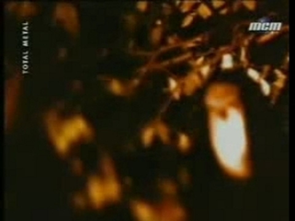 Type O Negative - Love you to Death