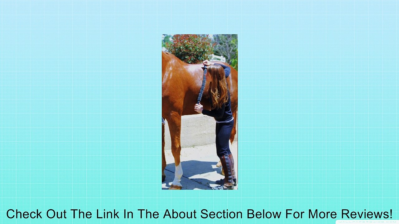 Equistix Equine Sports Massage Tool Review