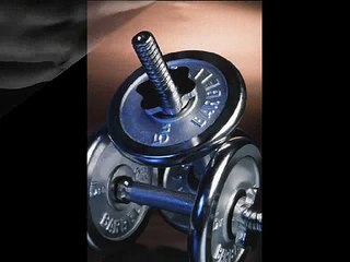 Moving From Beginner To Intermediate Level Body building