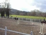 obstacles equitation