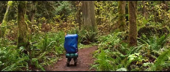 Watch Wild Full Movie Streaming Online