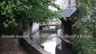Miniature DailyMotion