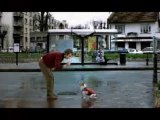 Video - humour - gag chien
