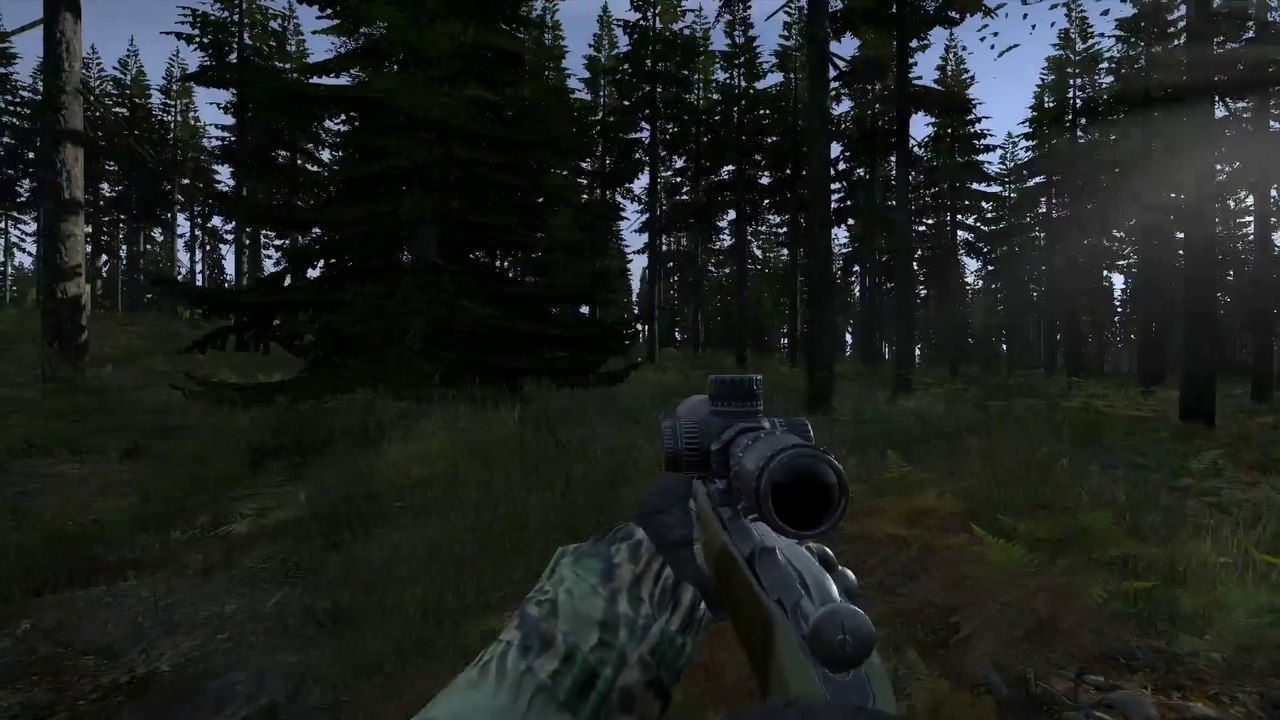 Tannen retten Leben #2 [GermanDayZ.de]