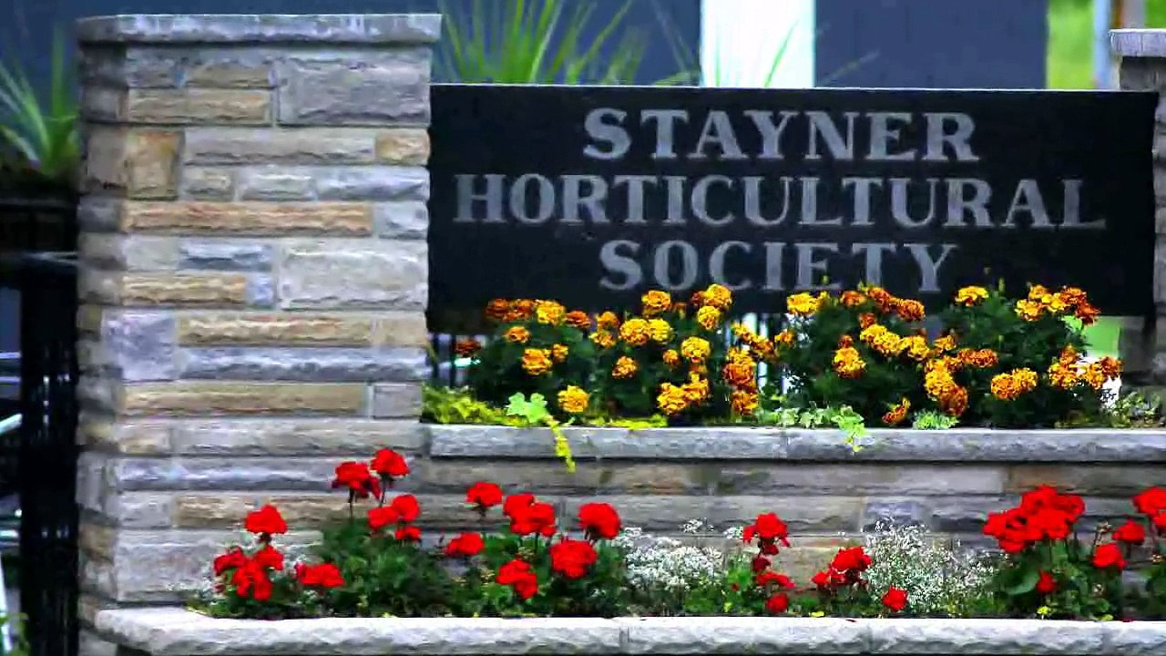 Royal LePage Trinity Realty: Trusted Real Estate Services in Clearview, Stayner, Creemore ON