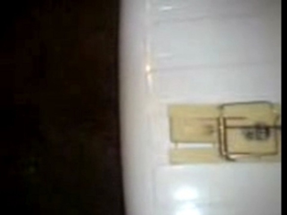 Défit de la tapette