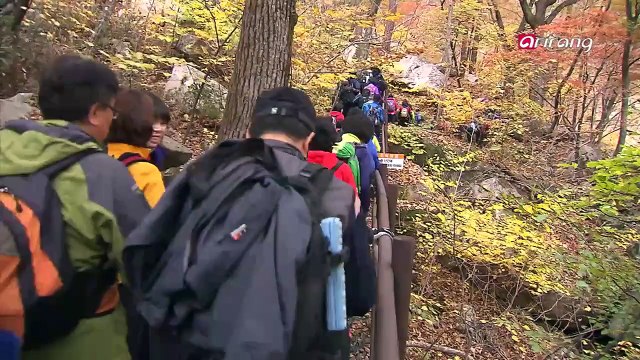 Bizline Ep90C4 Forest ICT Protecting healthy mountains with ICT!