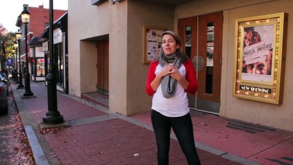 The Hunger Games Franchise Folk Song - Ali Spagnola Music Video (2014) HD