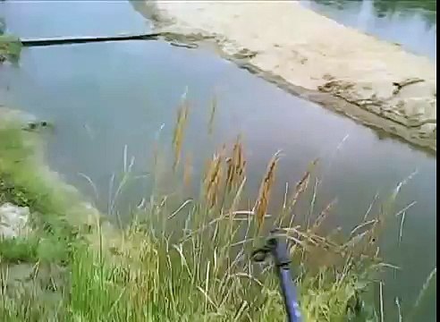 sfs­생­중­계­바­카­라­ボ【 Ｄ­Ｂ­Ａ­７­0­７­.­Ｃ­0­Ｍ 】＼＼­생­중­계­바­카­라­