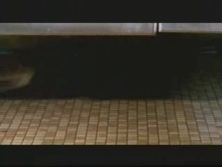 Dipset - Crunk music