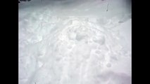 [+18 ~ Sexy Funny Girl]Golden Retriever Pops Out Of Snow
