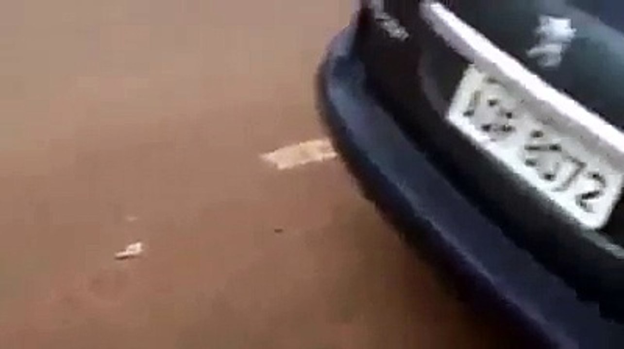 [+18 ~ Sexy Funny Girl]Horse used to surf in street