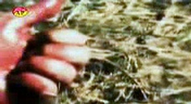 [01] Muharram 1436 - Yaaraan-e-Khuda Aamad - Shuja Rizvi - Noha 2014-15 - Urdu Video - WisdomGateway - ShiaTV.net