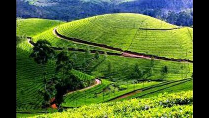 Kerala Tour Packages