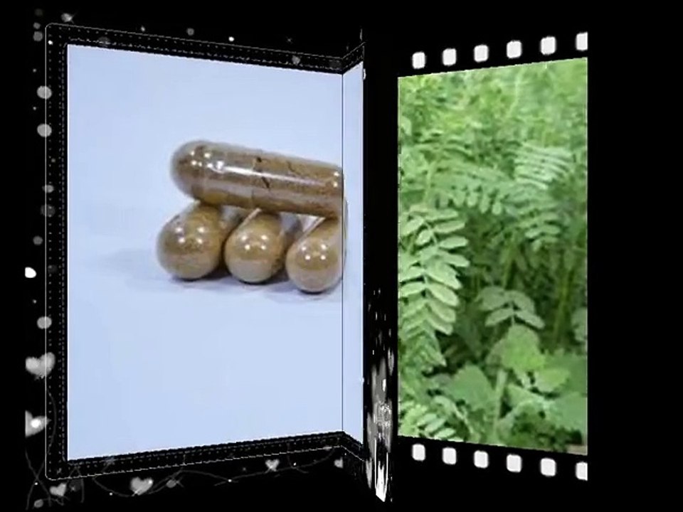 How to make the Tribulus Terrestris P.E.