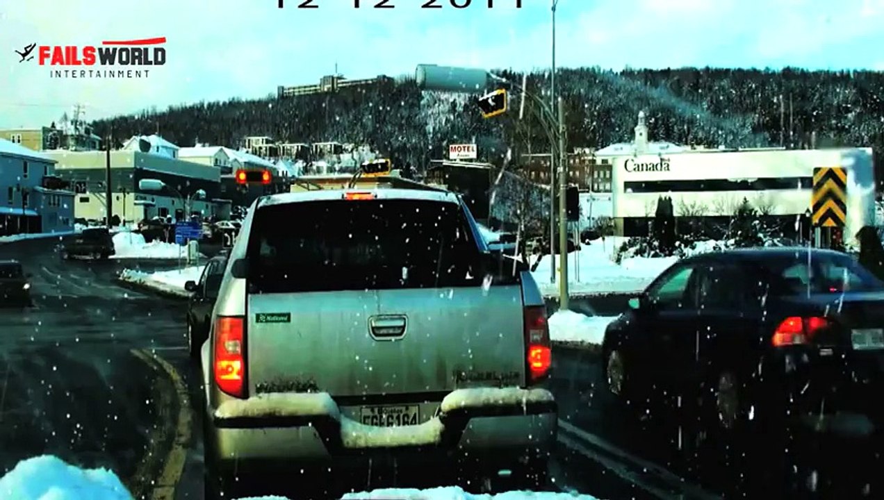 [+18 ~ Sexy Funny Girl]Bear Waiting At Traffic Lights - Fails World