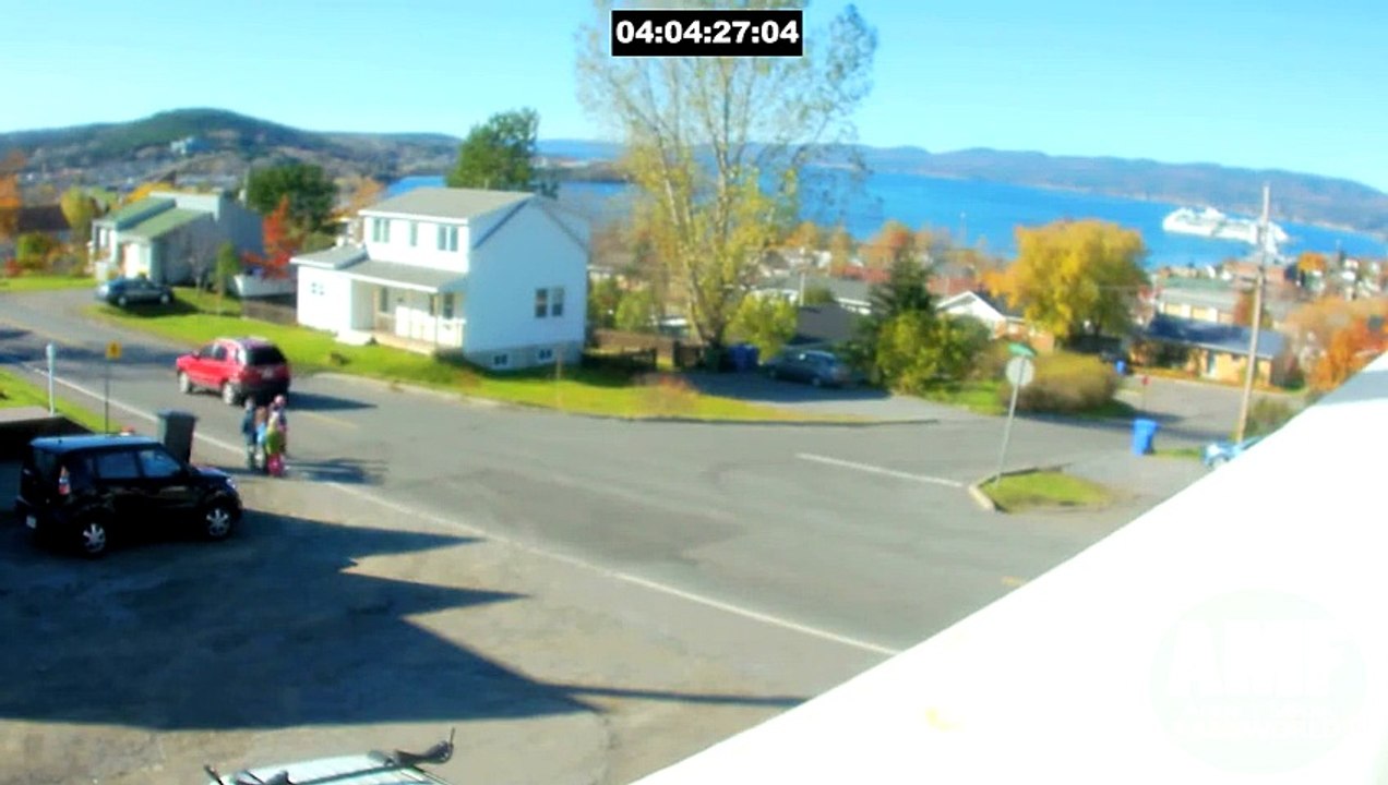 [+18 ~ Sexy Funny Girl]Road Crossing Kid Almost Hit By Car - Fails World